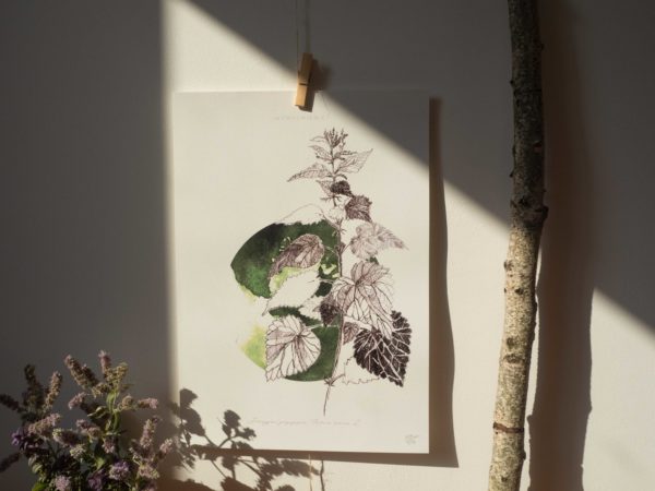 plakat •  POKRZYWA • wzmocnienie - obrazek 2